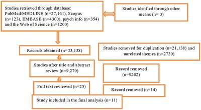 A post-traumatic stress disorder among internally displaced people in sub-Saharan Africa: a systematic review